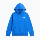 Vaikiškas džemperis The North Face Evolution Box NSE Pullover Hoodies active blue