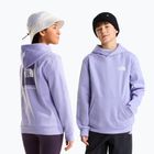 Vaikiškas džemperis The North Face Evolution Box NSE Pullover Hoodies pale plum