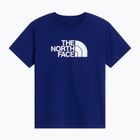 Vaikiški marškinėliai The North Face Evolution Half Dome SS Tee bold blue