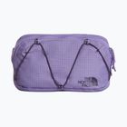 Juosmes krepšys The North Face Terra Lumbar 1 l grounded plum/endless
