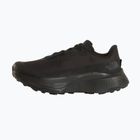 Vyriški bėgimo batai Buty The North Face Altamesa 500V2 GTX tnf black/tnf black