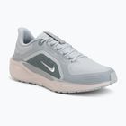 Vyriški bėgimo batai Nike Pegasus 41 GTX light pumice/pure platinum/silt red/metal silver