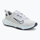 Vyriški bėgimo batai Nike Juniper Trail 2 GORE-TEX grey fog/sapphire/midnight navy