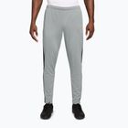 Vyriškos kelnės Nike Academy Dri-Fit light smoke grey/white/black/metallic gold