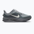 Vyriški bėgimo batai Nike Pegasus Premium Wolf Grey/Cool Grey/Anthracite/Sail