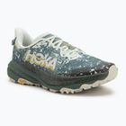 Vyrų bėgimo bateliai HOKA Speedgoat 6 GTX sea flashes/fern