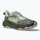Vyrų bėgimo bateliai HOKA Speedgoat 6 GTX sea flashes/fern
