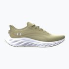 Vyriški bėgimo batai Under Armour Ascend khaki base/summit white/castlerock
