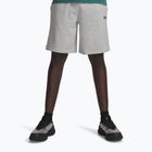 Vyriški treniruočių šortai Under Armour Rival LW mod gray light heather/black