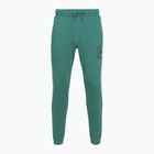 Vyriškos kelnės Under Armour Rival LW Graphic Jogger rack green/black