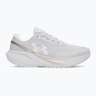Moteriški bėgimo batai Under Armour Velociti Sport halo gray/metallic buff/white