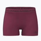 Moteriški treniruočių šortai Under Armour HeatGear Shorty claret/ox blood