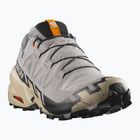 Vyriški bėgimo bateliai Salomon Speedcross 6 GTX gull/white pepper/black