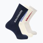 Kojinės Salomon Everyday Crew 3 pairs spellbound/vanilla ice/lunar rock