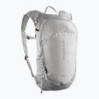 Turistinė kuprinė Salomon Trailblazer 10 l cloudburst/paloma/silver
