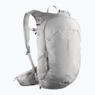 Turistinė kuprinė Salomon Trailblazer 20 l cloudburst/paloma/silver