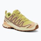 Moteriški bėgimo batai Salomon XA Pro 3D V9 endive/burro/almond cream