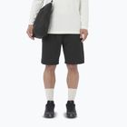 Vyriški šortai Salomon Wayfarer Ease 2.0 deep black