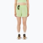 Moteriški bėgimo šortai Salomon Shakeout Core 4" butterfly