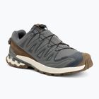 Vyriški bėgimo batai Salomon XA Pro 3D V9 GTX Lifelong sedona sage/coyote brown