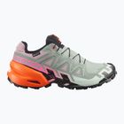 Moteriški bėgimo batai Salomon Speedcross 6 GTX Icon black/green milieu
