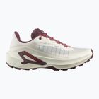 Moteriški bėgimo batai Salomon Genesis 2 vanilla ice/huckleberry
