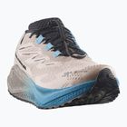 Vyriški bėgimo batai Salomon Aero Blaze 4 GRVL GTX oxford tan/black