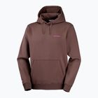 Vyriškas bėgimo džemperis Salomon Shortney Hoodie shopping bag