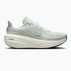 Moteriški bėgimo batai Nike Winflo 12 off white/barely green/metallic silver