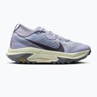 Moteriški bėgimo batai Nike ACG Zegama ghost/sea glass/smoke grey/cement grey