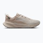 Vyriški bėgimo batai Nike Juniper Trail 2 GORE-TEX cream Ii/light orewood brown