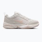 Vyriški treniruočių batai Nike Air Monarch IV light bone/spruce aura/sanddrift