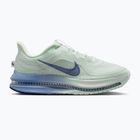 Moteriški bėgimo batai Nike Pegasus Premium barely green/work blue/blue void