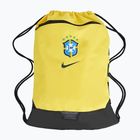 Maišas Nike Academy Brazil 18 l canary/pro green
