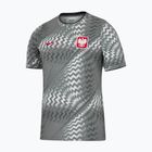 Vyriški futbolo marškinėliai Nike Dri-Fit Poland Pre-Match 2026 pure platinum/cool grey