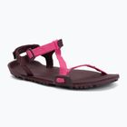 Moteriškos barefoot basutės Xero Shoes Z-Trail EV fuchsia purple