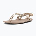Moteriškos barefoot basutės Xero Shoes Genesis gold metallic