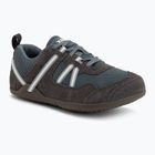 Vyriški barefoot batai Xero Shoes Prio insignia stormy weather