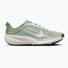 Vyriški bėgimo batai Nike ACG Pegasus Trail jade horizon/light silver/phantom