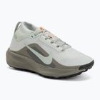 Moteriški bėgimo batai Nike ACG Pegasus Trail GORE-TEX Light Silver/Light Army/Light Silver