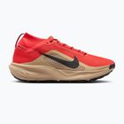 Vyriški bėgimo batai Nike ACG Pegasus Trail GORE-TEX Light Crimson/Linen/Black