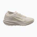Vyriški bėgimo batai Nike ACG Pegasus Trail GORE-TEX Cream Ii/Light Orewood Brown