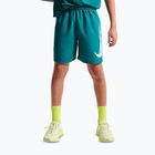Vaikiški šortai Nike Multi Refresh bright spruce