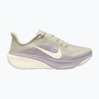 Moteriški bėgimo batai Nike Pegasus 42 light bone/silver lilac/sail