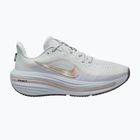 Moteriški bėgimo batai Nike Winflo 12 off white/pure platinum/off noir/blur