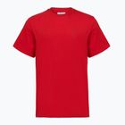 Vyriški marškinėliai Columbia CSC Basic Logo Back Tee mountain red/linework c badge