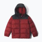 Šilta striukė vaikams Columbia Puffect Hooded Red Oxide/Black