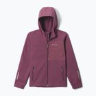 Vaikiška softshell striukė Columbia Ascender Hooded Softshell antique mauve
