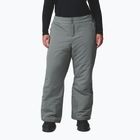 Moteriškos slidinėjimo kelnės Columbia Bugaboo III sedona sage