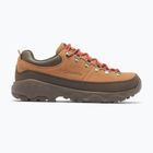 Vyriški žygio batai Columbia Newton Alpine Low grizzly bear/red oxide